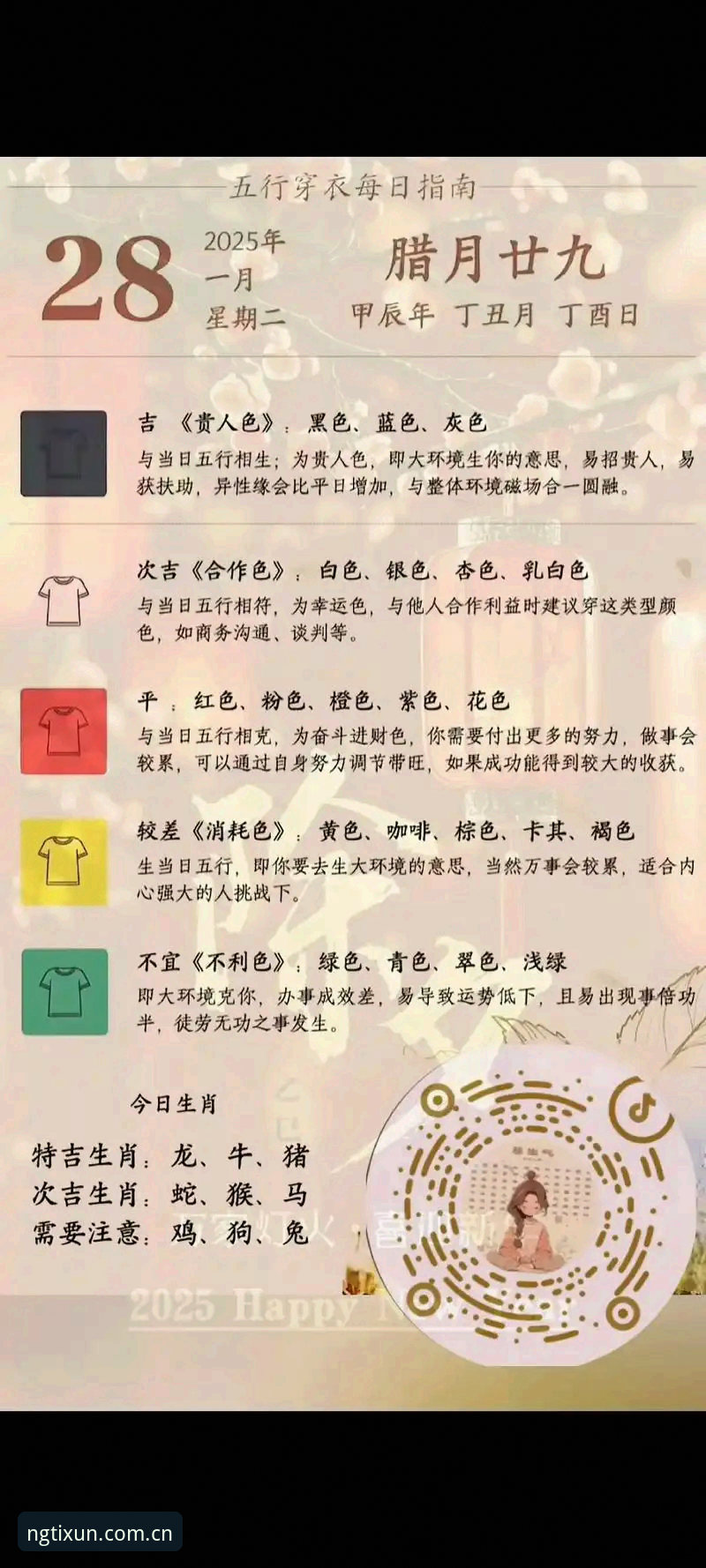 NG体育2025版本对比完整指南：从入口选择到功能升级的实用体验分享
