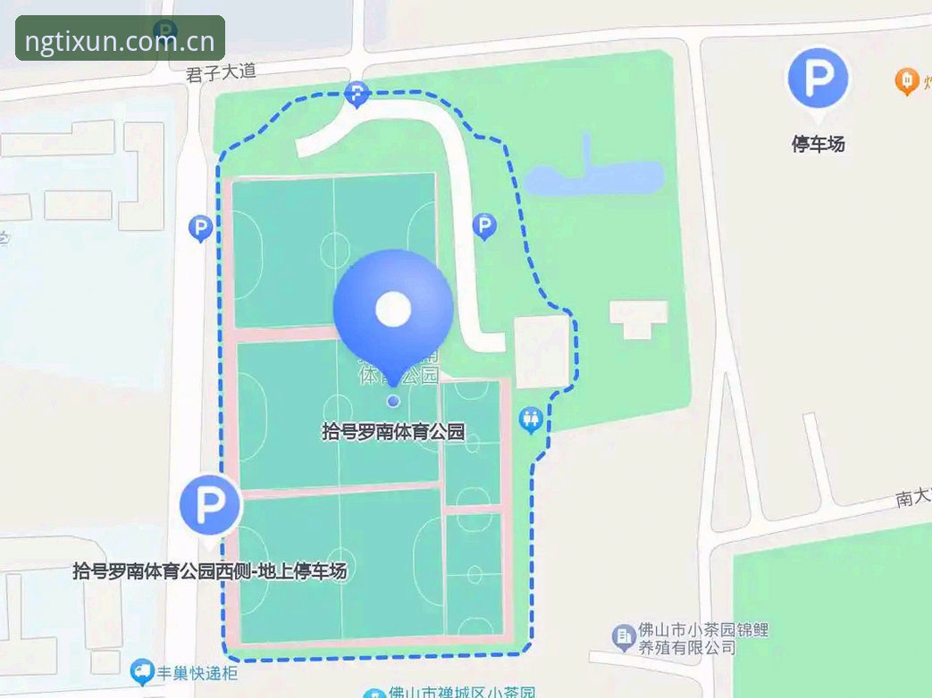 NG体育平台安全畅玩完整指南：从入口到体验的全方位攻略